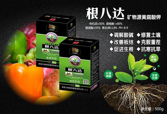 ��Ӣ������ף��2020�������³����f�����⣡�������