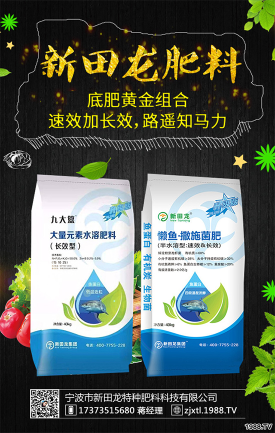 ����������������ף������µ�һ�������w�������f(w��n)��������