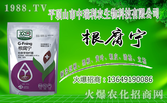 ��ƽ�ɽ�������r����ף�������옷���f�����⣡2020��ؔԴ�L�L��