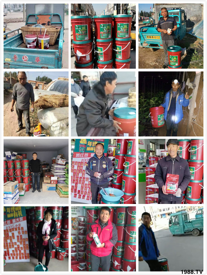 �����������Ƽ����o��Ұ�������ף���I(y��)�t��������옷���������