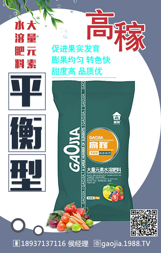 如何正確的給甜瓜施肥？怎么施肥？施什么肥？