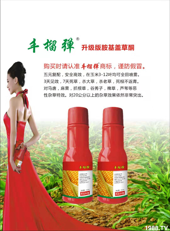 �����ϼ�������ף�����������ͥ���M���f��������