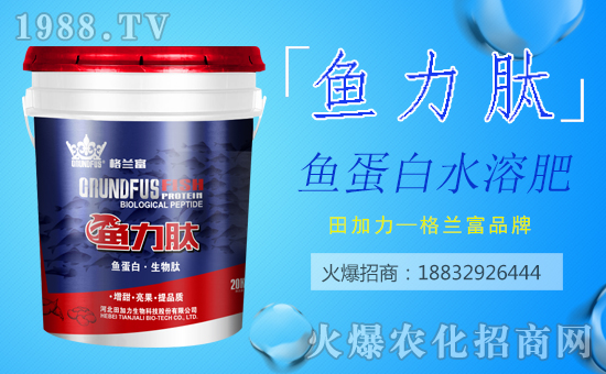 ���������ף������µ�һ�������w�������H�Қg����