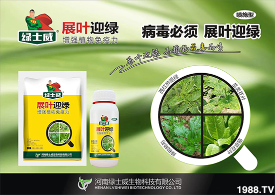 ���Gʿ�����ףȫ���������µ�һ���﹤�����������������