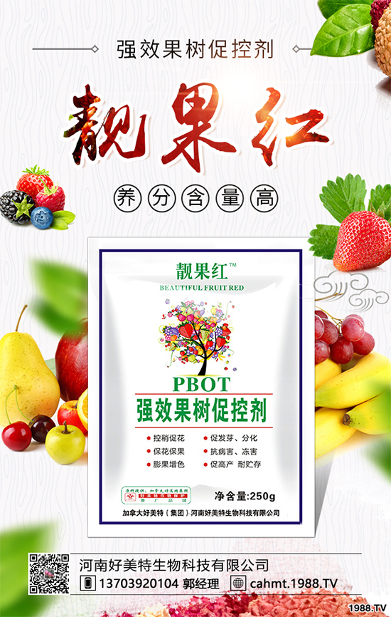 �����������ף������µ�һ�������w�������f�����⣡