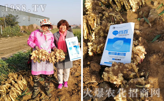 ���̩���ף���2020������옷��Ц�ڳ��_��ؔԴ�L�L��