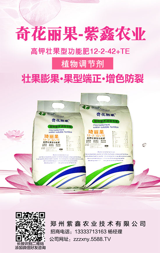 學(xué)會龍眼的施肥管理，龍眼增產(chǎn)不再憂！