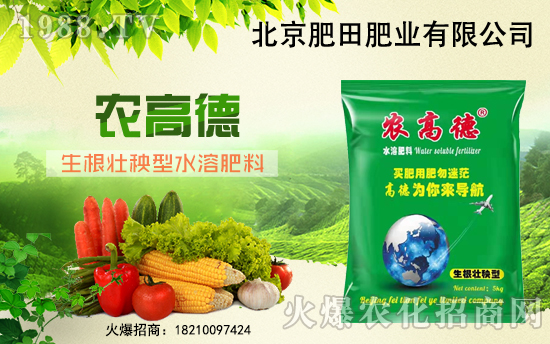 ���������ף������µ�һ������옷��Ц�ڳ��_��ؔ(c��i)Դ�V�M(j��n)��