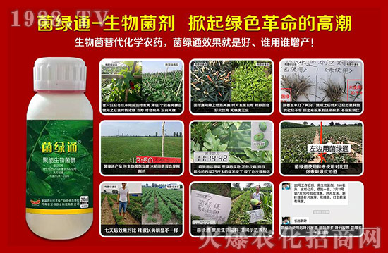 �������r(n��ng)ؐ�á�ף�V��(j��ng)�N(xi��o)�����т����µ�һ������t����ؔ(c��i)Դ�V�M(j��n)��