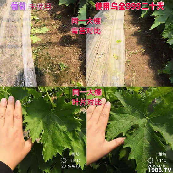 ���½���ɫ���B(t��i)��ȫ�w�T����ף�������ѣ�����옷���f�����⣡ҹҹ�����X��