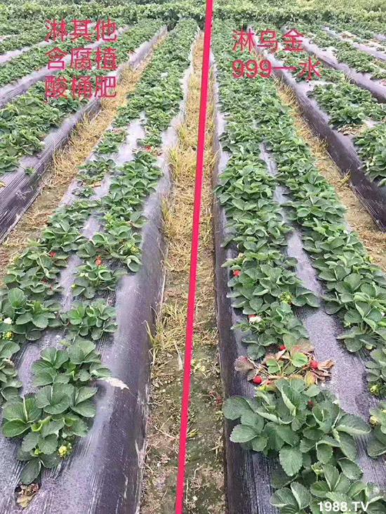 ���½���ɫ���B(t��i)��ȫ�w�T����ף�������ѣ�����옷���f��������ҹҹ�����X��