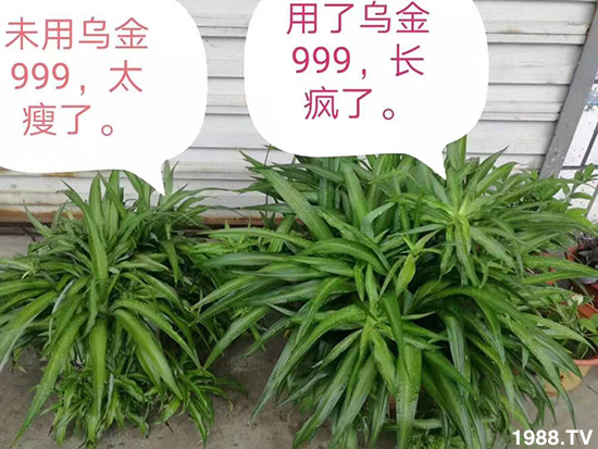 ���½���ɫ���B(t��i)��ȫ�w�T����ף�������ѣ�����옷���f�����⣡ҹҹ�����X��