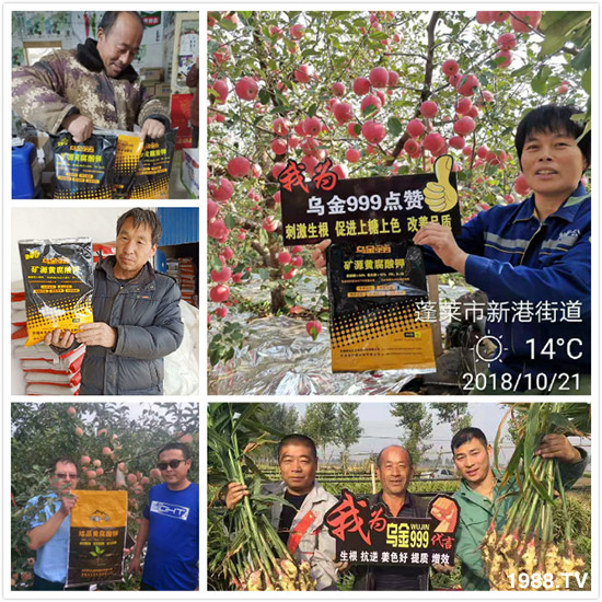 ���½���ɫ���B(t��i)��ȫ�w�T����ף�������ѣ�����옷���f��������ҹҹ�����X��