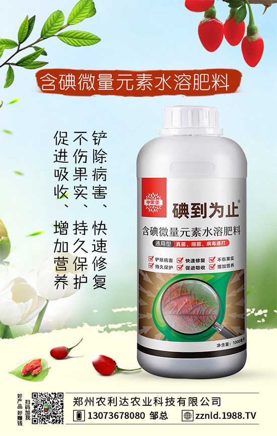 君子蘭的科學(xué)施肥方法，你了解嗎？