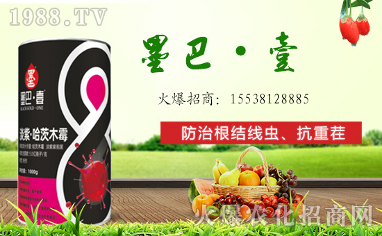 �������񠖡�ףȫ�����т������д󼪣��H�Ұ�����ؔԴ�L�L���f��������