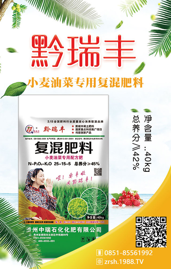 生菜的施肥原則有哪些？其中的作用是什么？