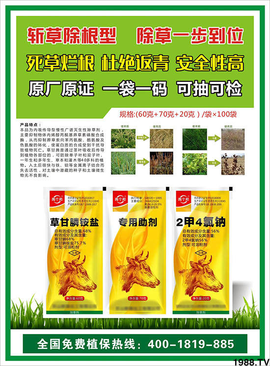 ���������𡿹�ף���Ͽ͑�����󼪣��´��옷(l��)��ؔ(c��i)Դ�L�L��