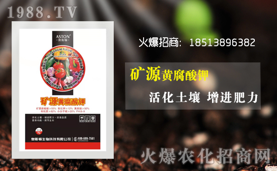 ���W˹�D���ף������µ�һ����͚����飬���w��������ͥ��̩���f��������