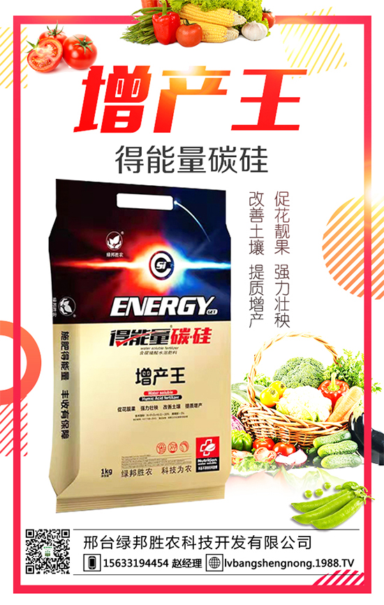 ���G����r(n��ng)����ףȫ�����񴺹�(ji��)�옷���Ҹ�������