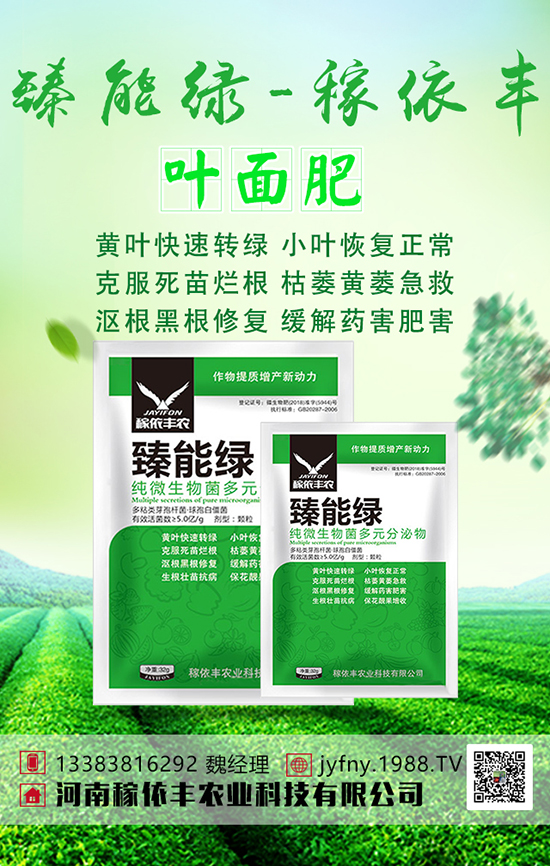 綠豆想高產(chǎn)，綠豆科學(xué)上肥技術(shù)大家要清楚！