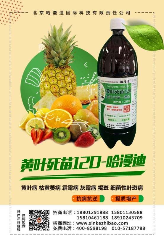 ���ο�ֲ����ףԸһ·�������т����w���������꼪�����H�Қg����