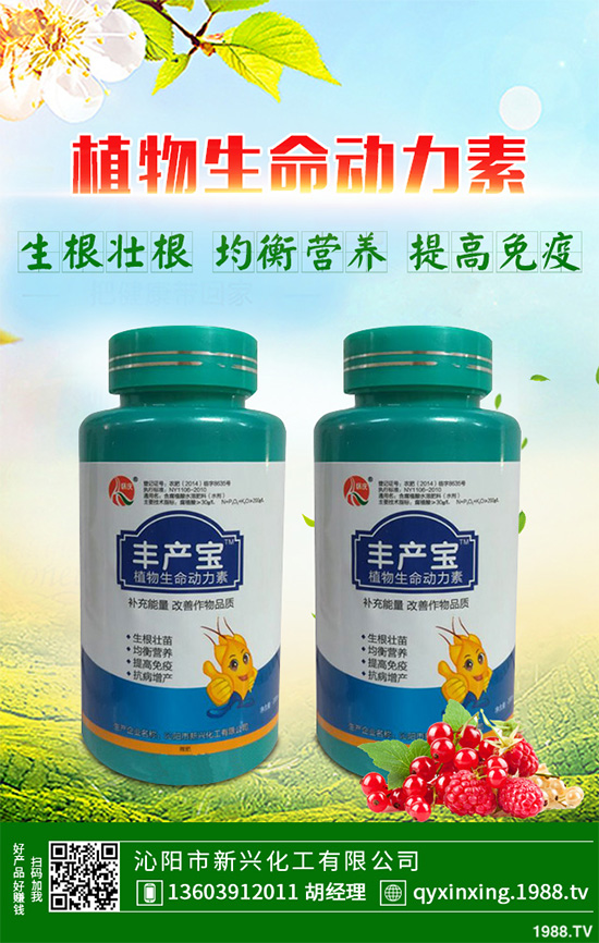 怎樣才能種好大白菜？大白菜高產(chǎn)種植技術(shù)要點(diǎn)