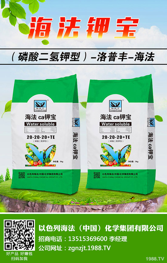 怎樣做好冬季梨樹修剪，梨樹冬季修剪的時間及方法！