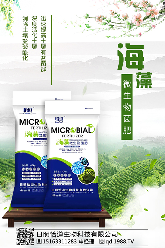     松茸有哪些營養(yǎng)價值？吃松茸有什么好處？