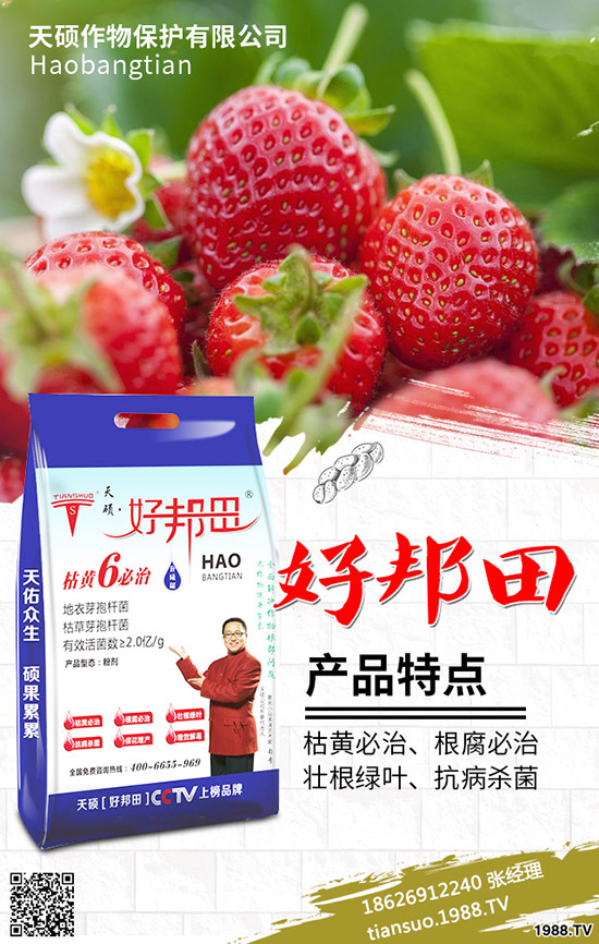 2020年農(nóng)村種植什么水果賺錢？哪些種果樹品種比較好？