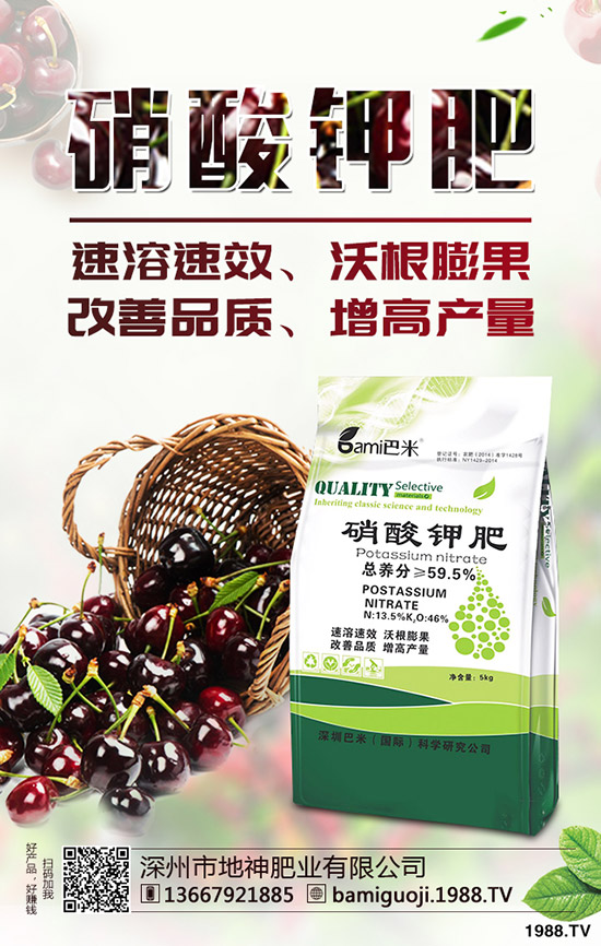 紅薯育苗時間是什么時候？紅薯育苗方法有哪些？