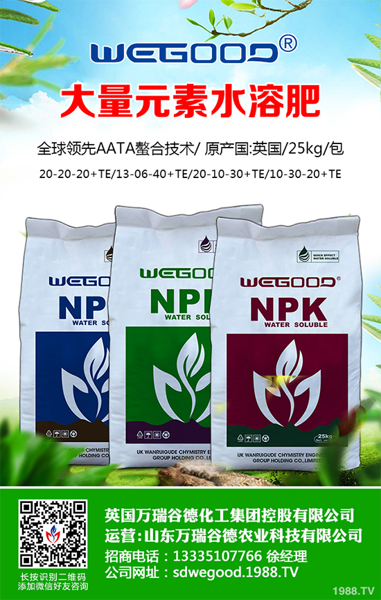 露地辣椒什么時(shí)候種植？露地辣椒高產(chǎn)種植技術(shù)