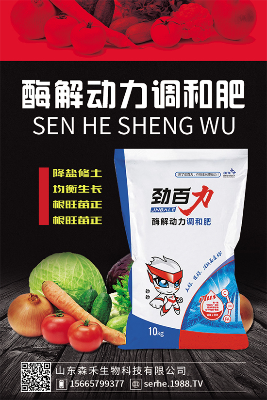 種植香菇需要投入多少？香菇種植成本利潤分析