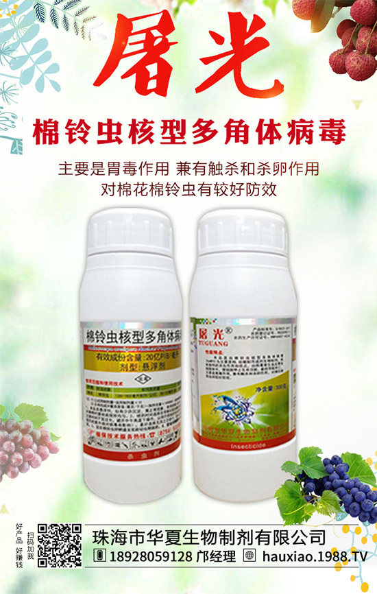 ���A�������ף������������옷�����꼪�飡�f������ƽ������