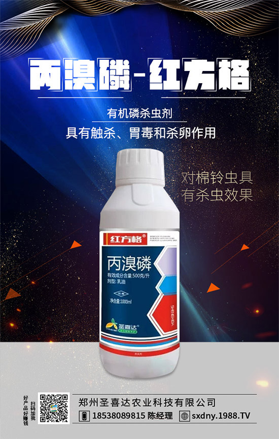 ��ʥϲ�_�r(n��ng)�I(y��)��ף���2020��������\�������ո�������