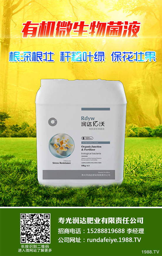 露地辣椒該如何施肥？露地辣椒高產(chǎn)施肥技術(shù)