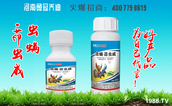 ���¹چ̵ϡ���ף��λ��(j��ng)�N�����������³���2020ؔ(c��i)Դ�V�M(j��n)���f(w��n)�������