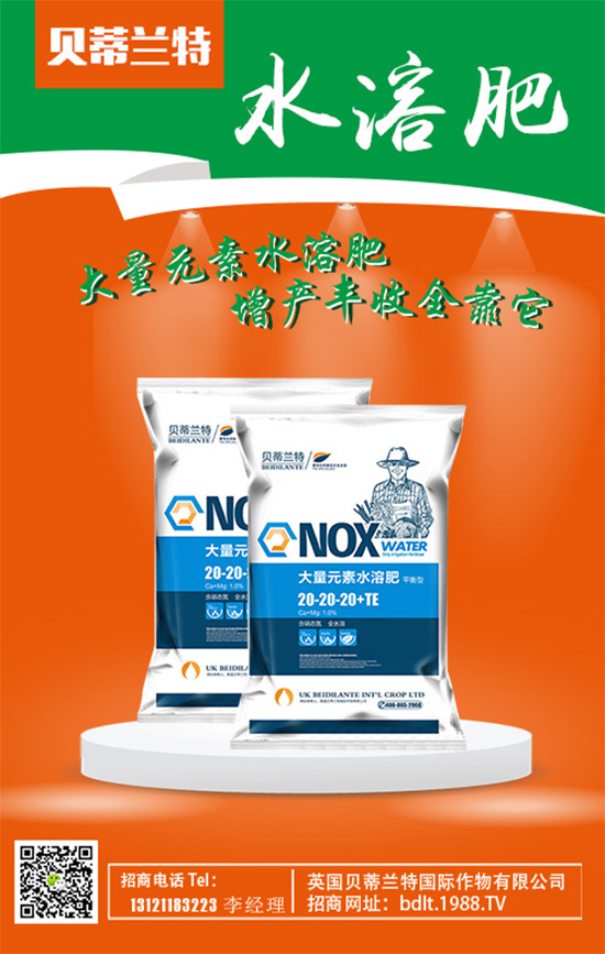 ��Ӣ��ؐ���m�ء�ף���g�gϲϲӭ�������f������ƽ���꣡