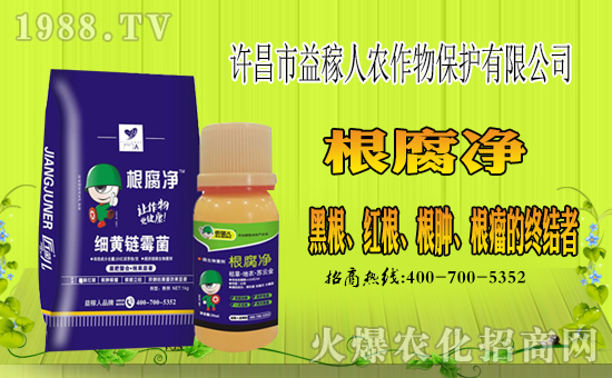 ���S��������ˡ�ף������µ�һ����ؔ�\(y��n)�L�L�������d¡��