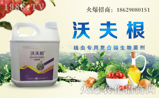 ��������ȫ�w�T��ף������µ�һ���������³����H�Қg����