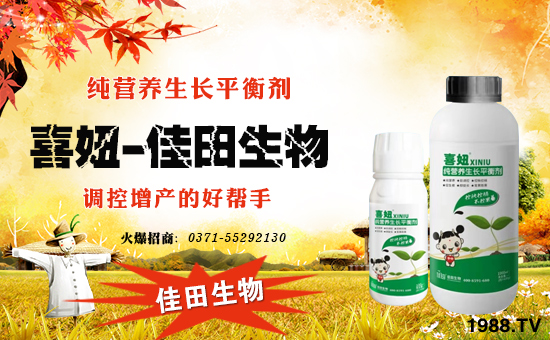 �����ݼ������ףȫ��(gu��)�r(n��ng)�Y��(j��ng)�N��������������´��옷��