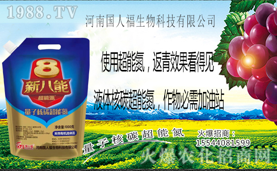 �����χ��˸������˸������¸�����ף���Ͽ͑�����옷���������