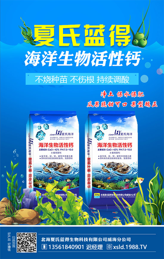 �����������{�á���ף���Ͽ͑������д��\��ؔԴ�L�L���������³���