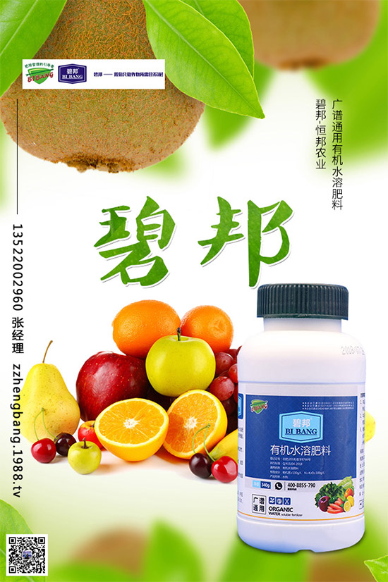 春季甘藍該如何種植?春甘藍高產(chǎn)管理技術(shù)