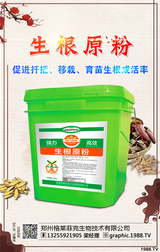 春季甘藍該如何種植?春甘藍高產(chǎn)管理技術(shù)