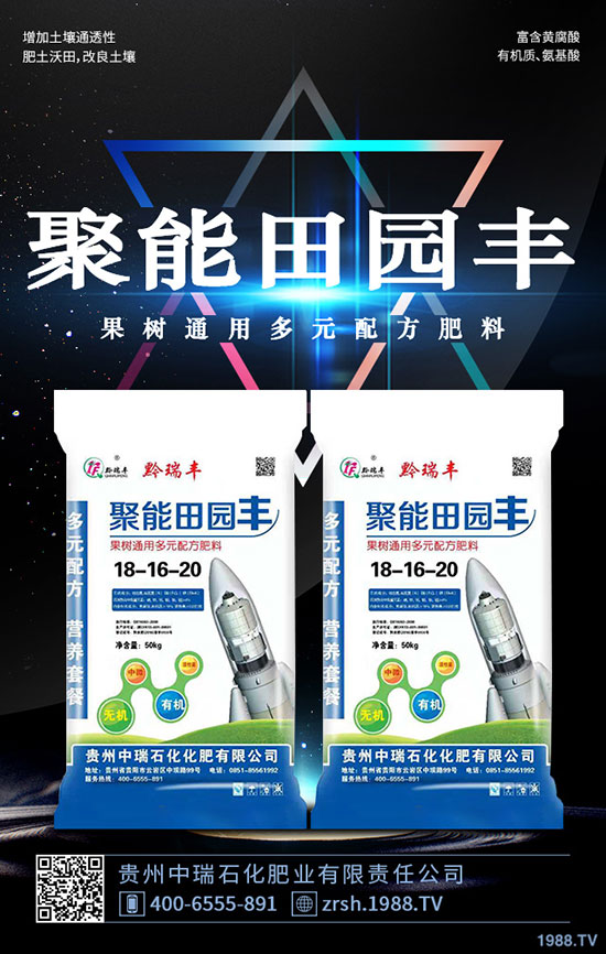 黑木耳的功效與作用，黑木耳營養(yǎng)價值及食用禁忌！