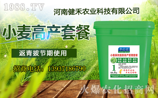 �����Ͻ����r(n��ng)�I(y��)��ףȫ�����т���������飬Ц�ڳ��_�����\���^��