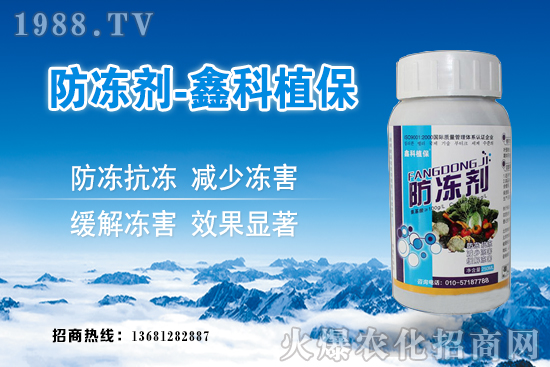 西葫蘆旺長什么原因?西葫蘆如何控旺?西葫蘆旺長補救措施!