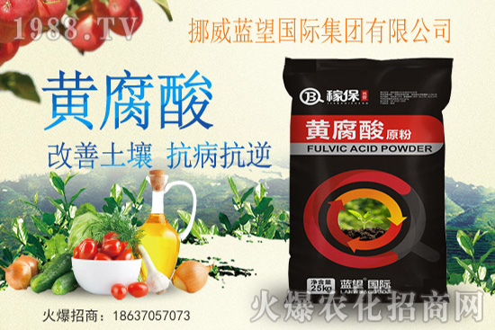 青花菜的采收標準是什么？如何正確采收青花菜？