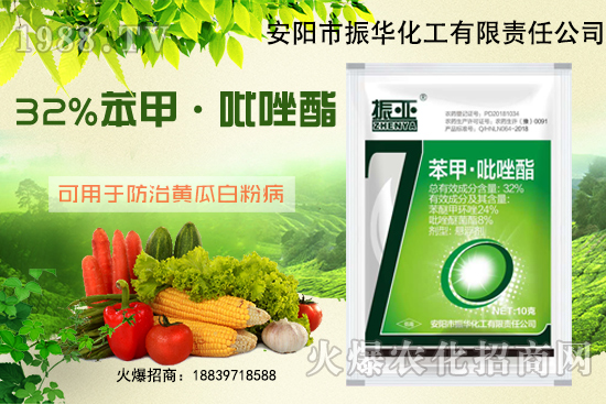 大棚黃瓜白粉病什么藥有用？發(fā)病條件如何避免？