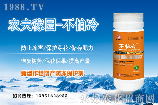 刺梨的種植條件有哪些?刺梨繁殖方法及田間管理!